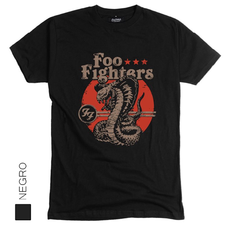 Foo Fighters 04