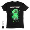 Minecraft 01